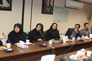 برگزاری نشست دانش افزایی استادان دانشکده پیراپزشکی